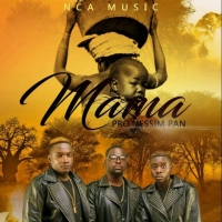 New Chapter Africa